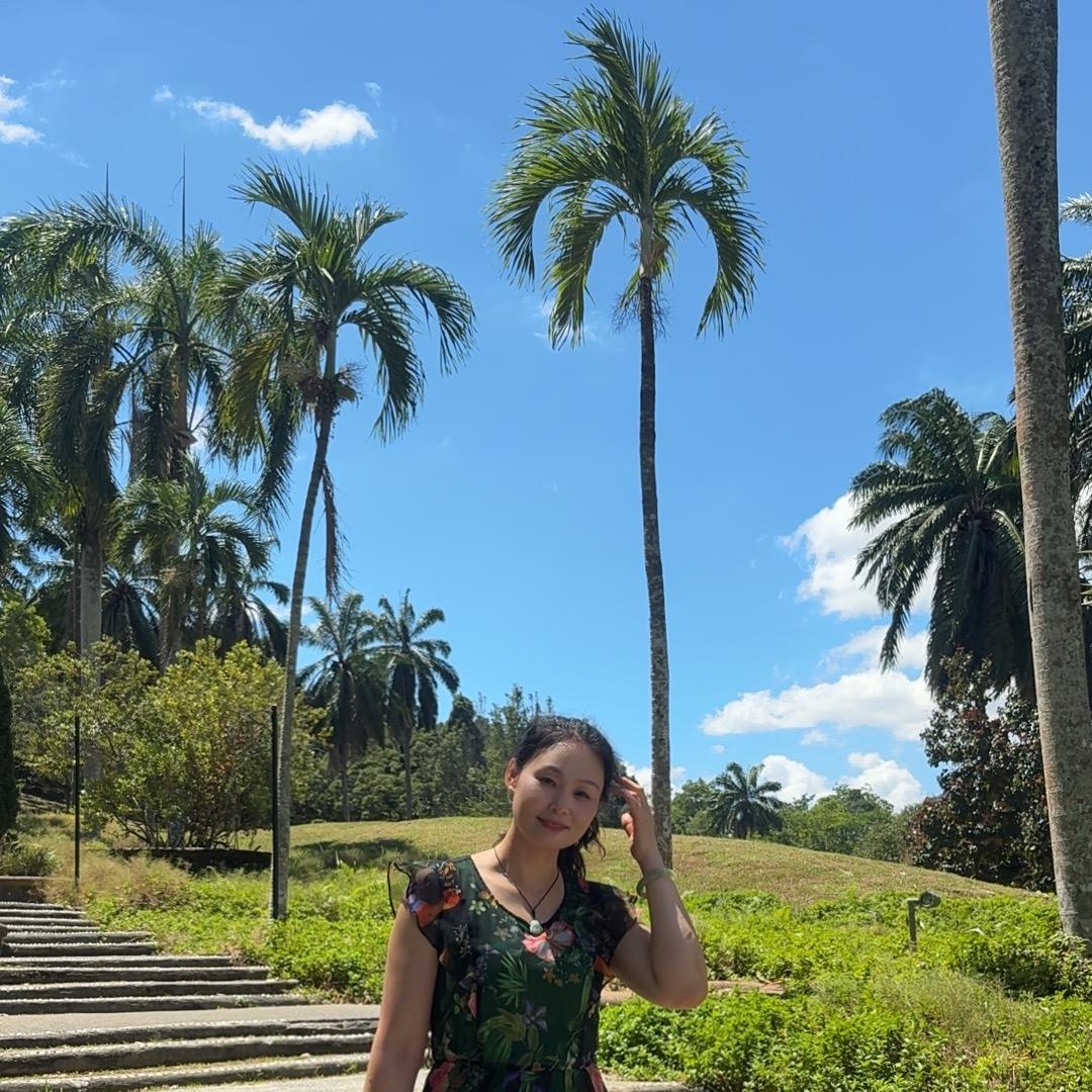 实木 软体 席梦思床垫家具科姐