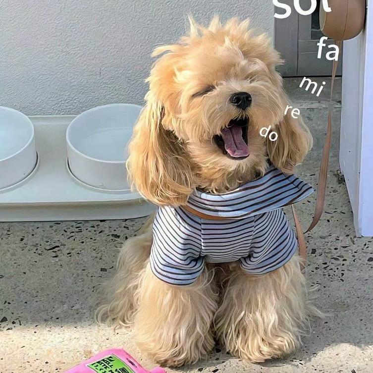Yy