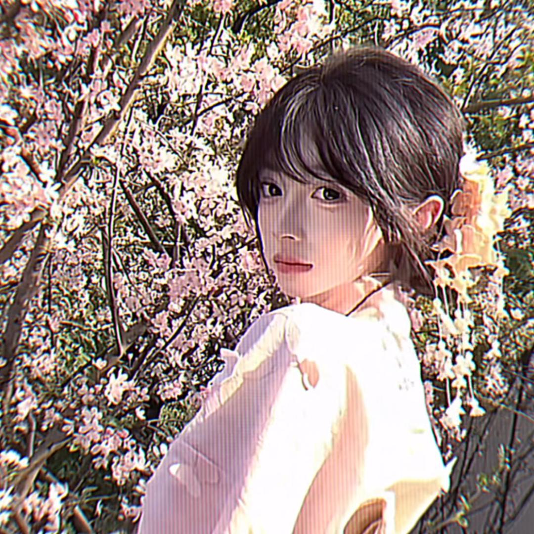 sakura.