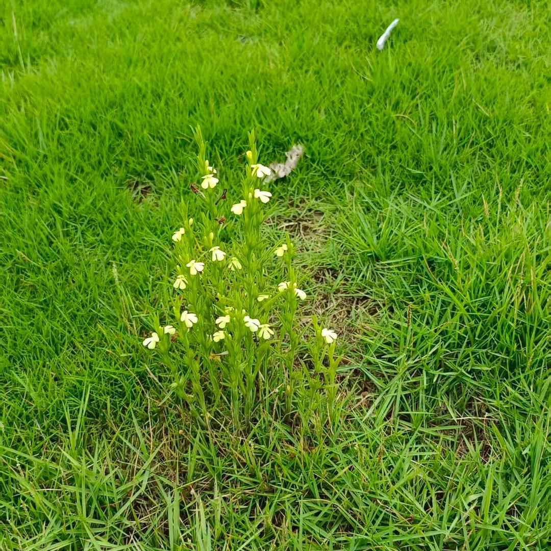 ៚᭄小助理生活日常ॣ࿐ᩚ