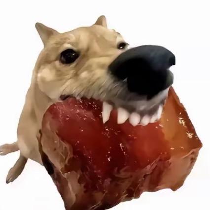护食崽.