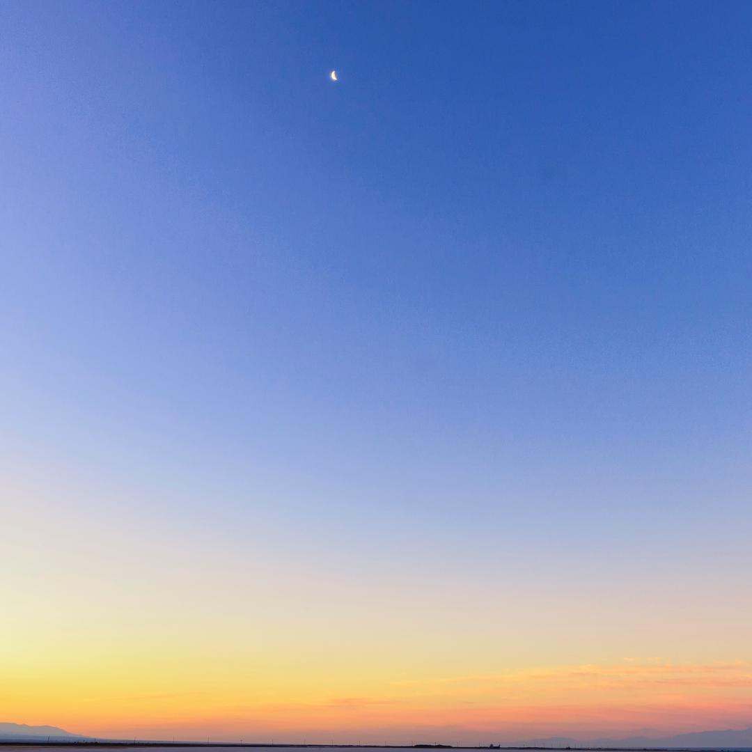 风华国学（牛）