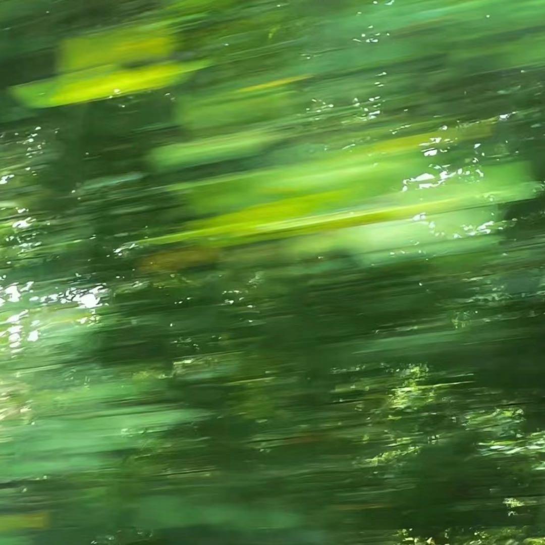 张张包y-