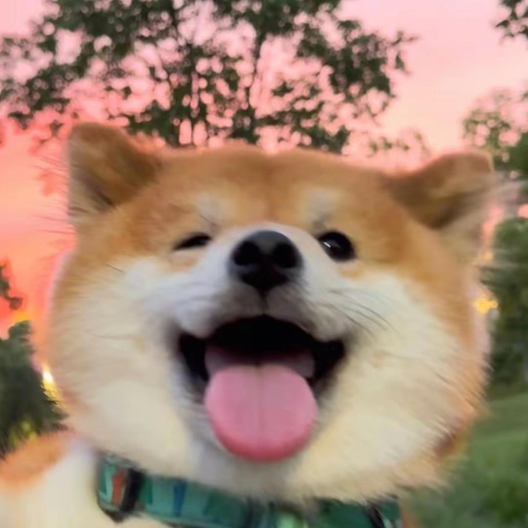 樱桃