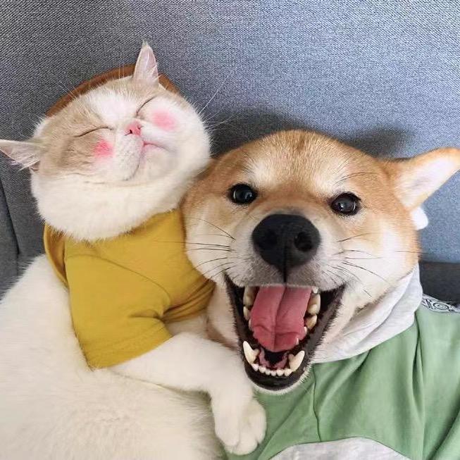 暖暖不爱吃鱼
