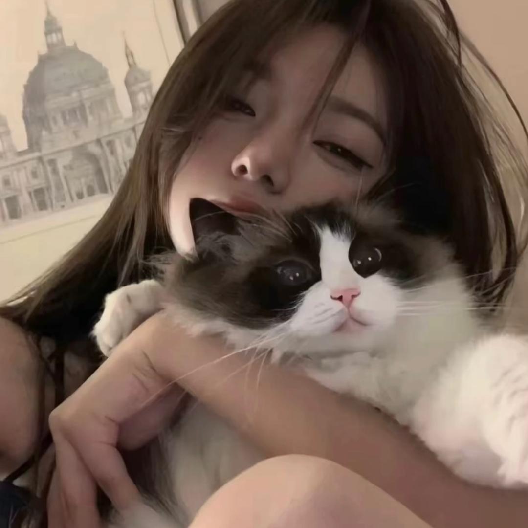 炸毛小猫咪🐱