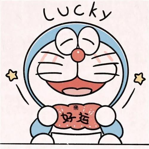 哈哈哩哈哈🌺