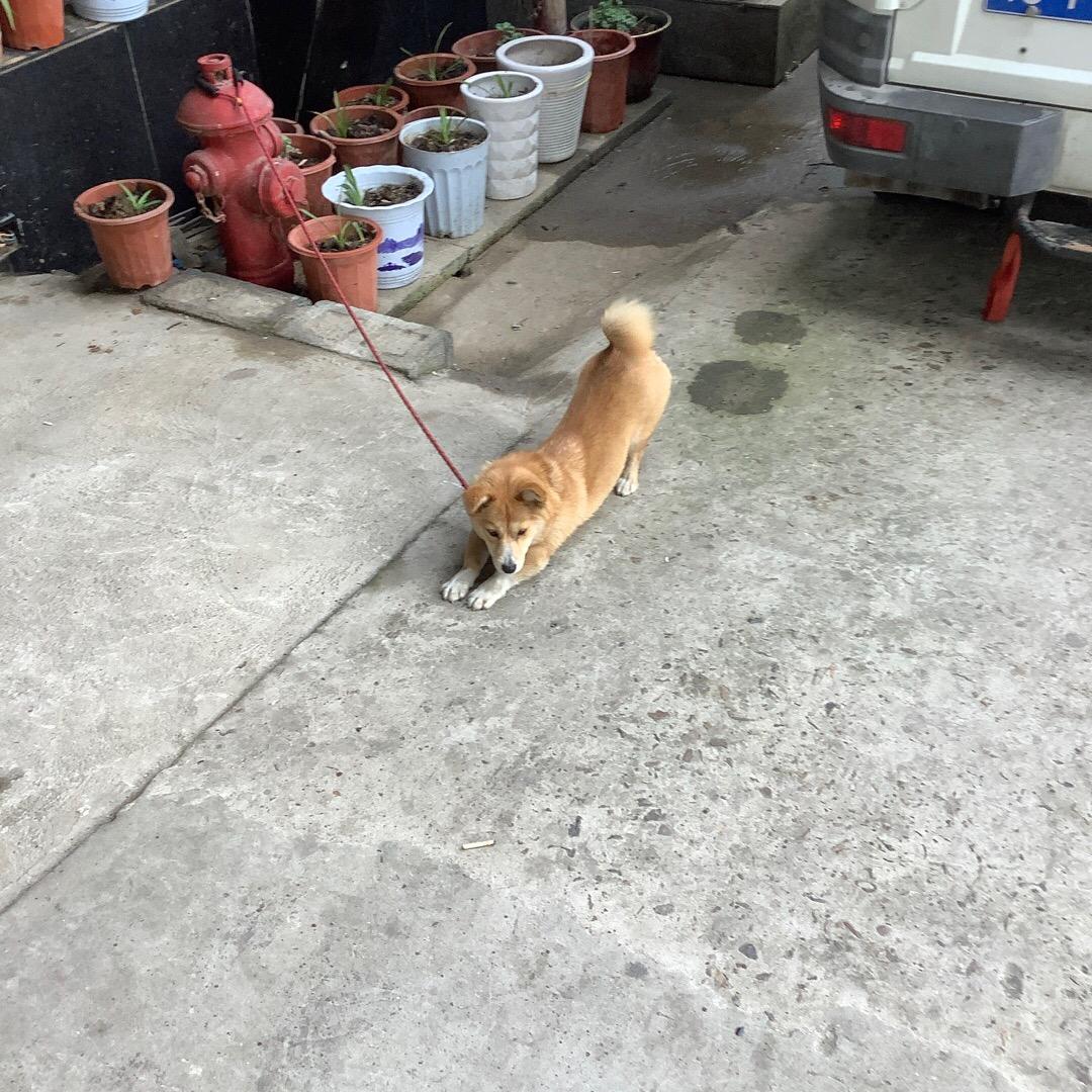 金茂宾馆官方号