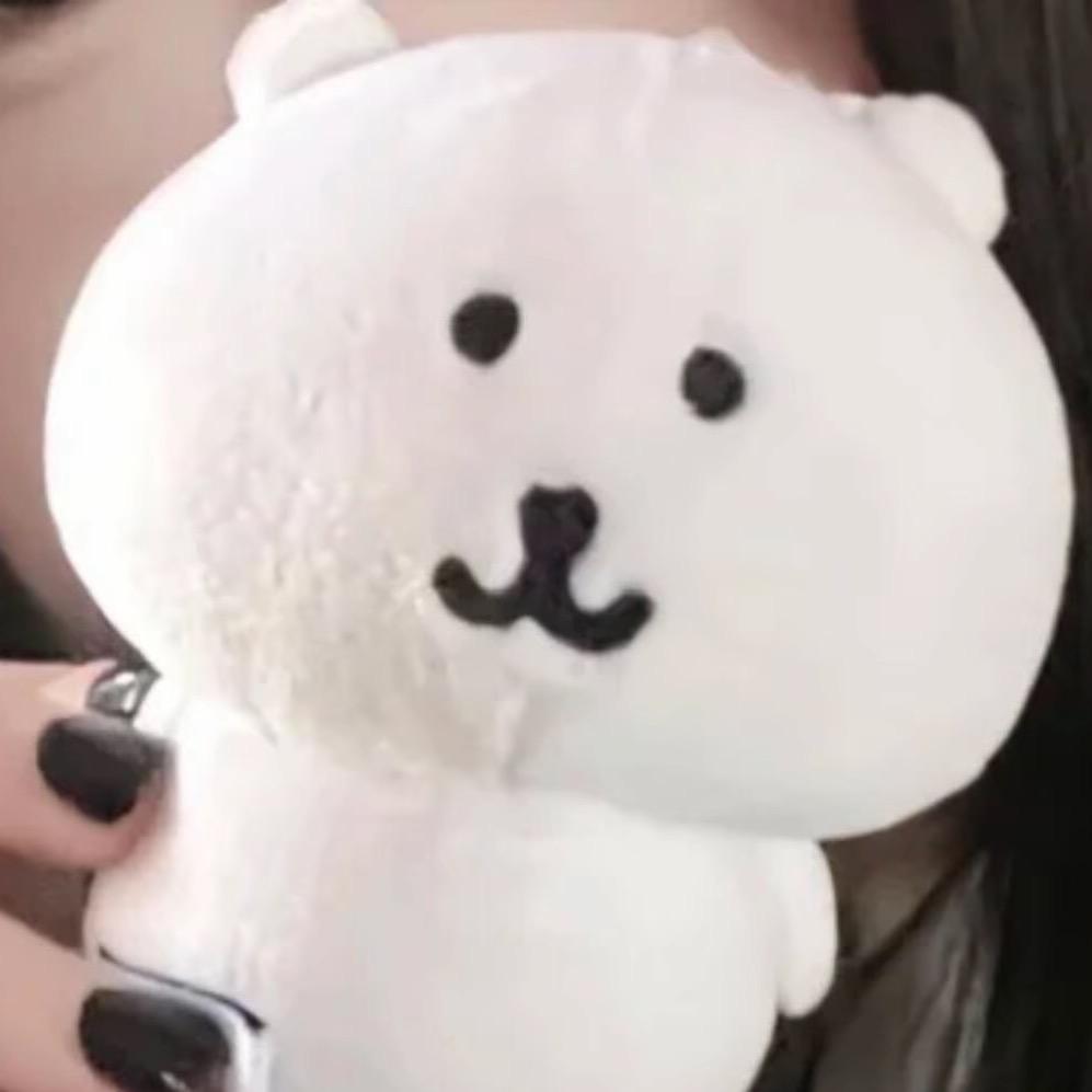 我的女朋友很可爱