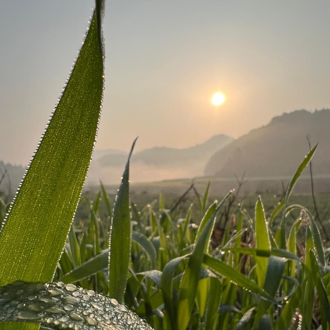 老陈在农村