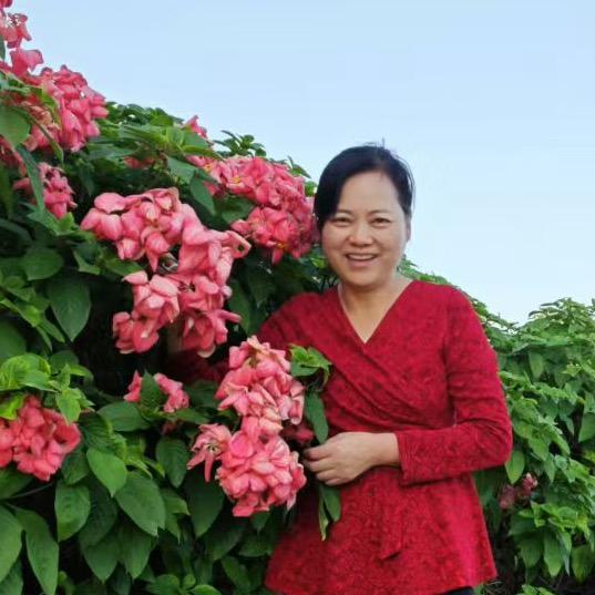 红姐