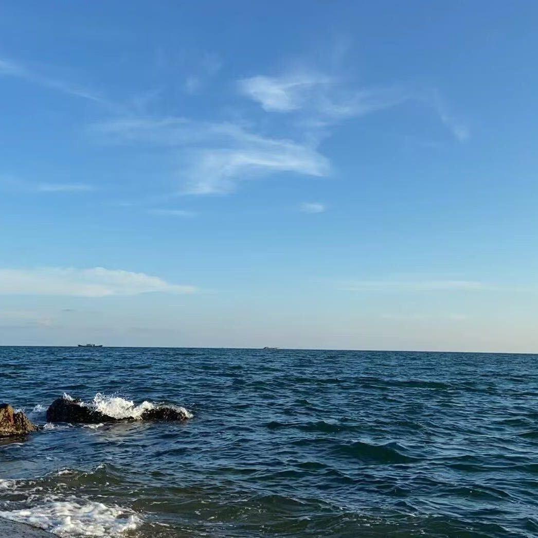 小张江浙海鲜批发