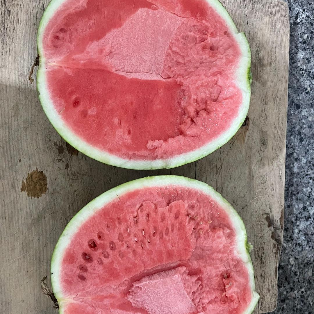 香椿鸡蛋饼