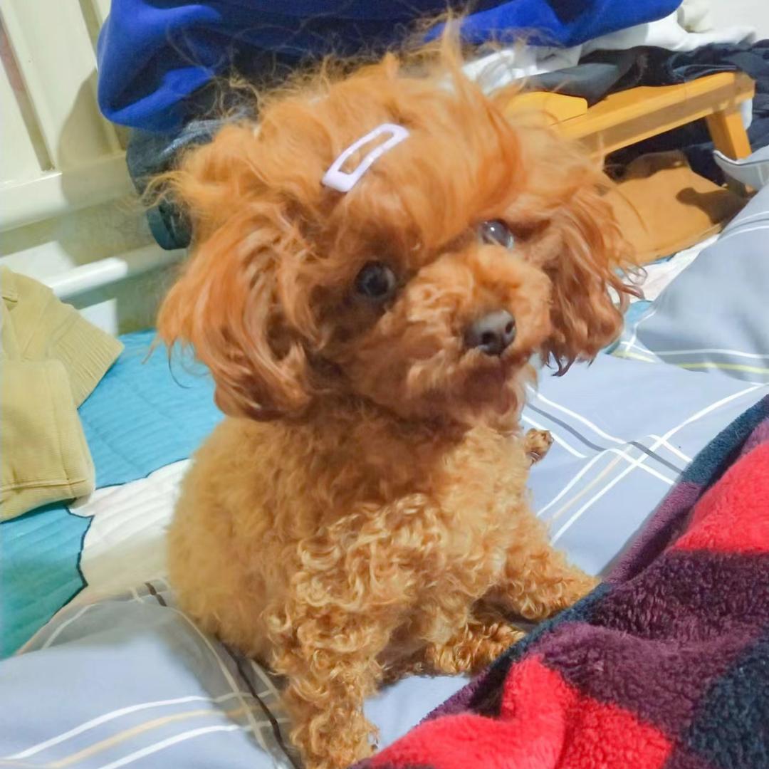 K嘞
