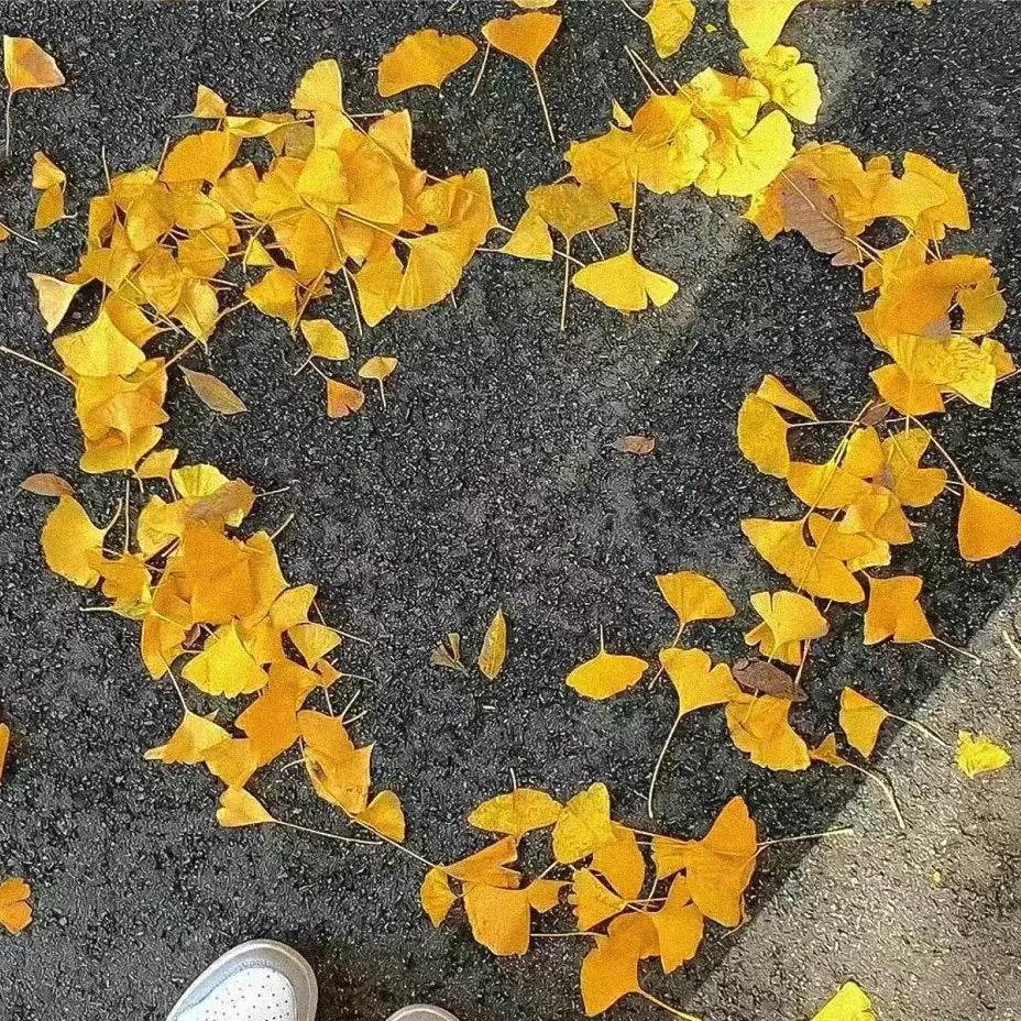 不想睡觉
