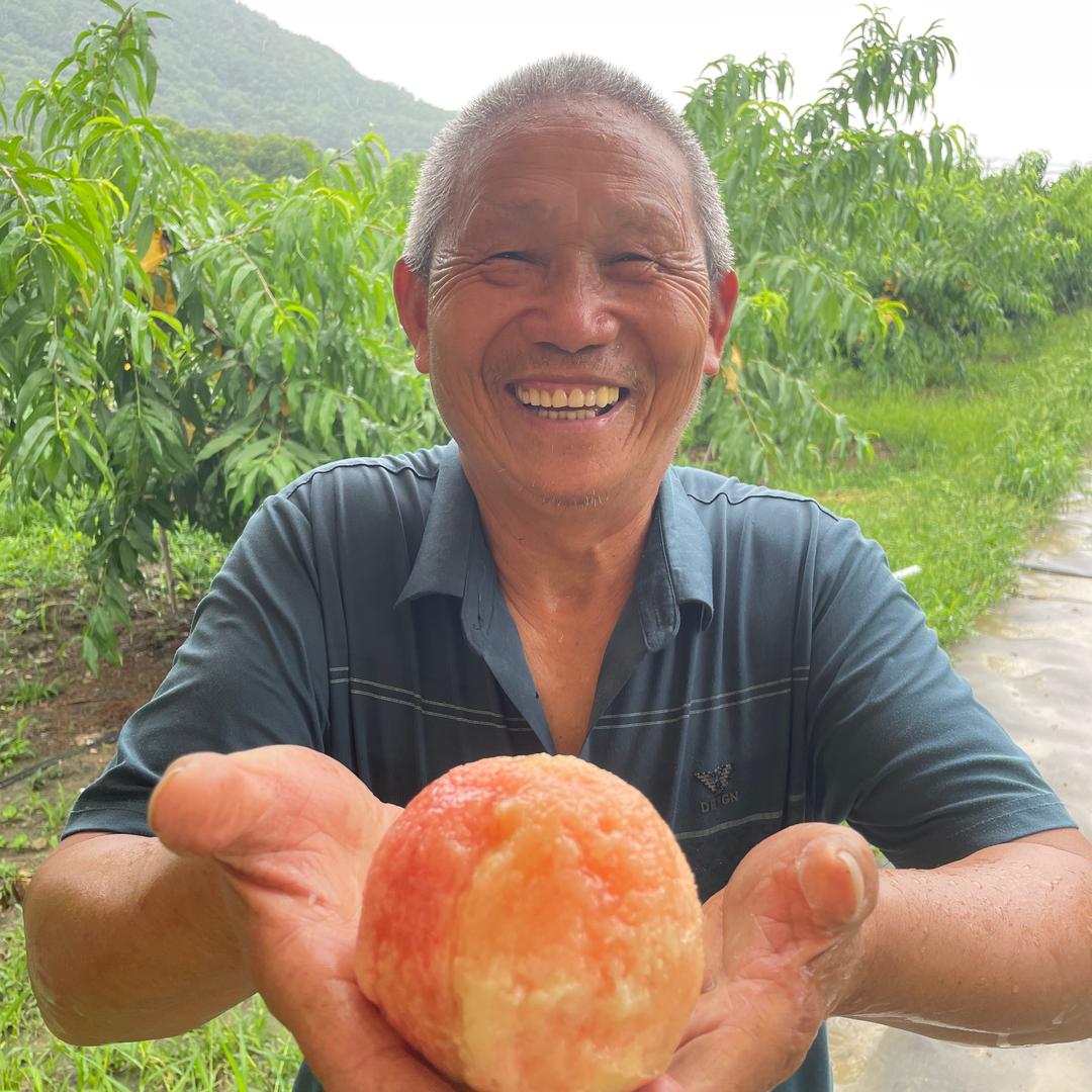 老胡桃园阳山水果专卖店水蜜桃季