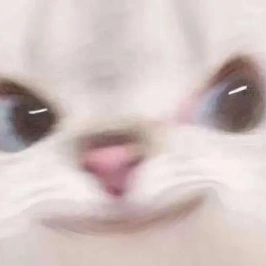 4.0