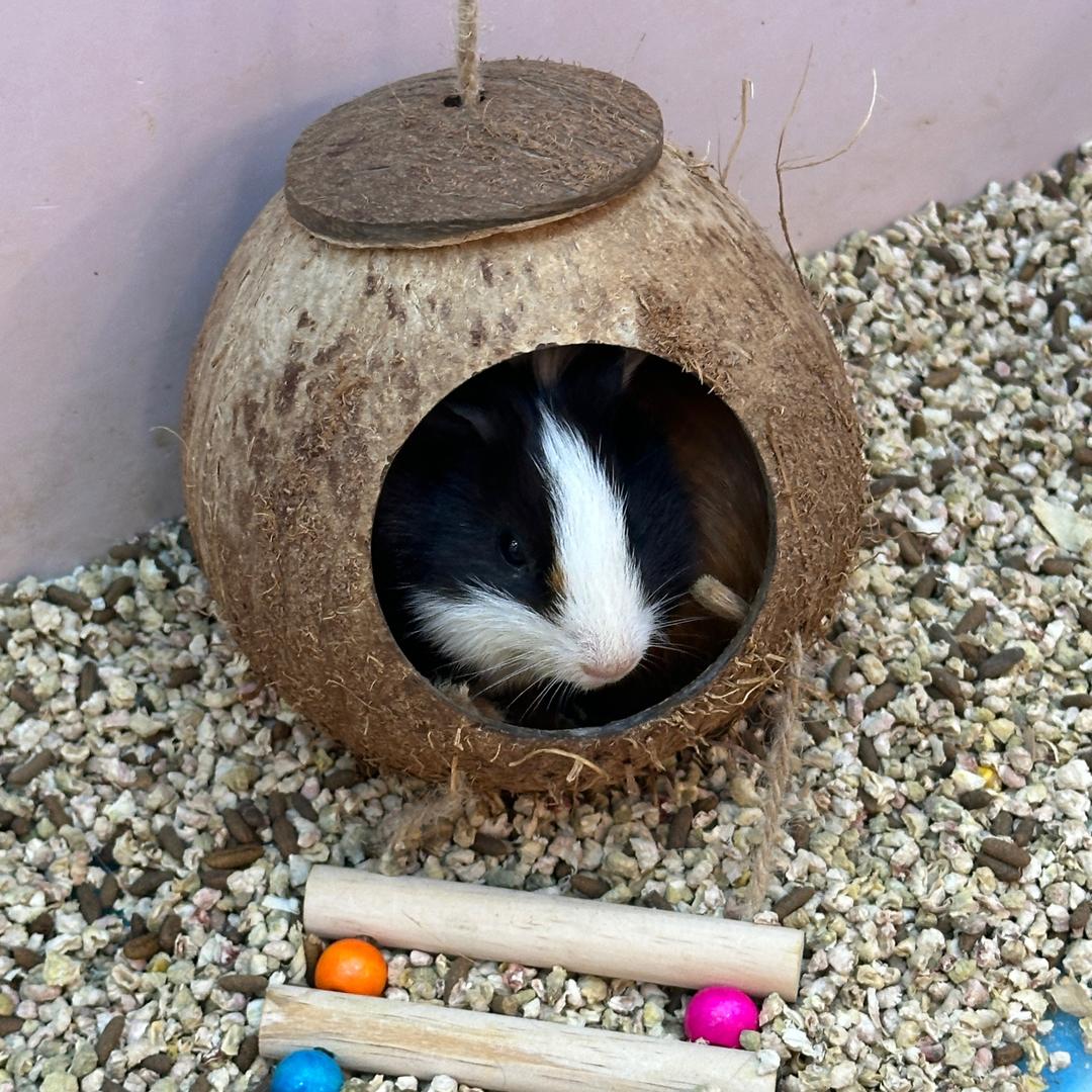 晓愉哥哥 直播分享