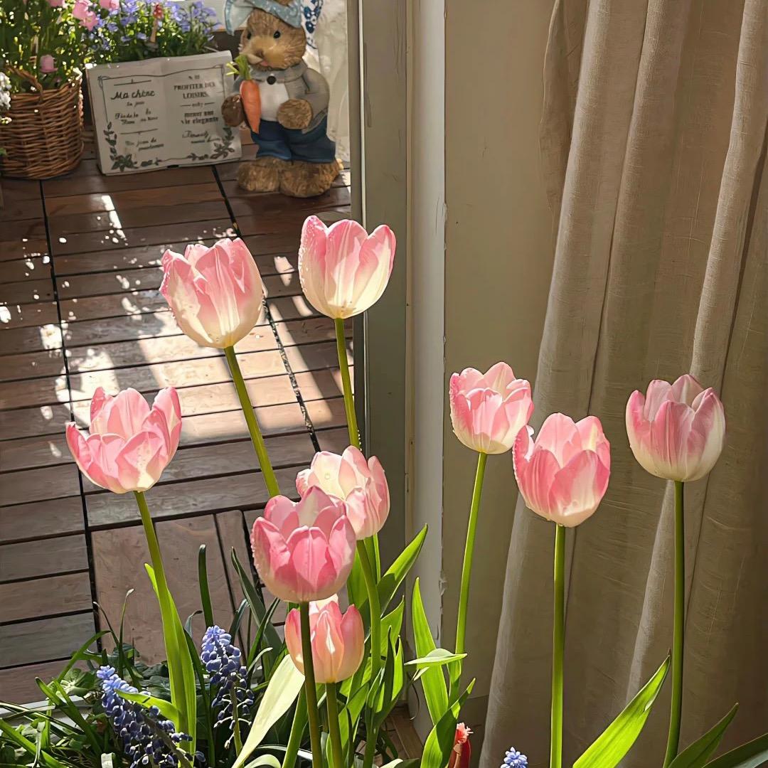河南的婷婷❤️