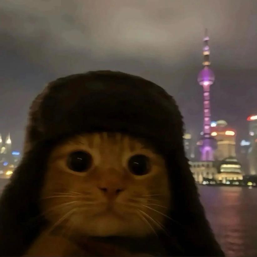 不爱打游戏的粥