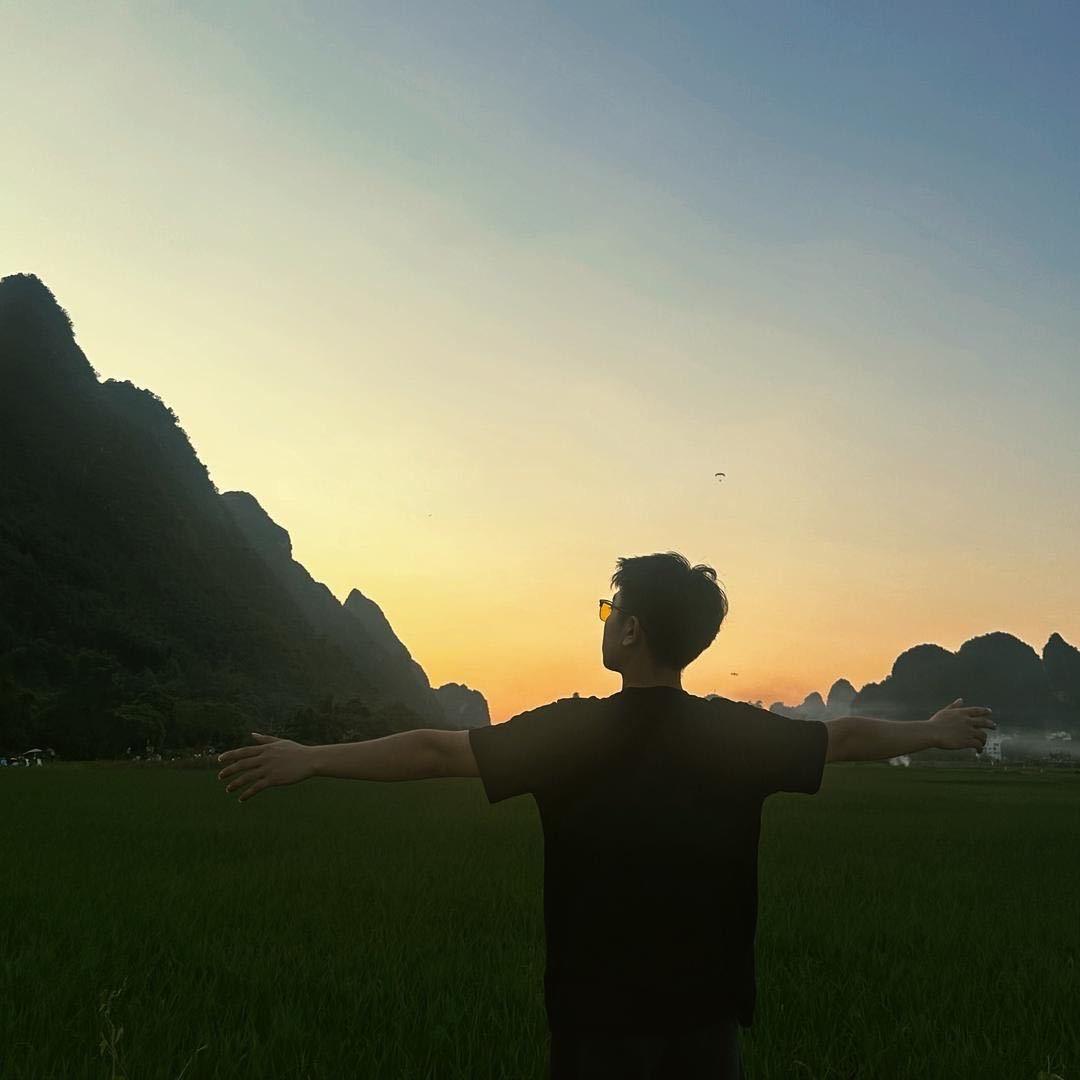搞点鼠条来