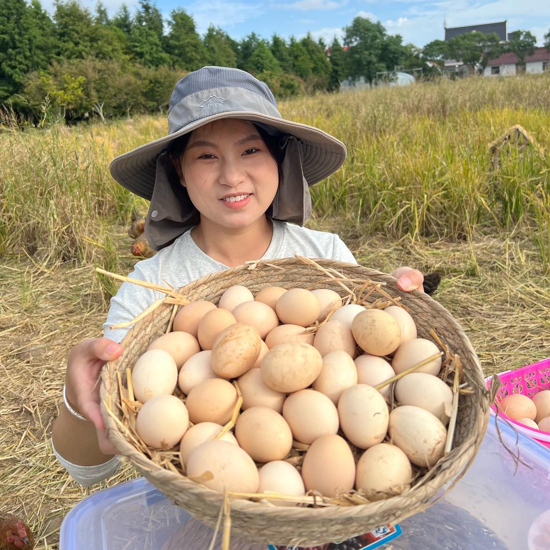 崇明岛土鸡蛋直发