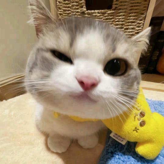 指纹ᐝ