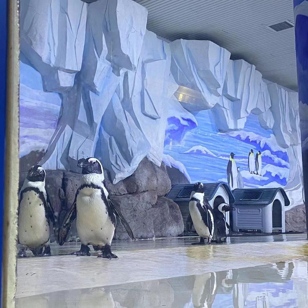 寿光极地海洋世界客服