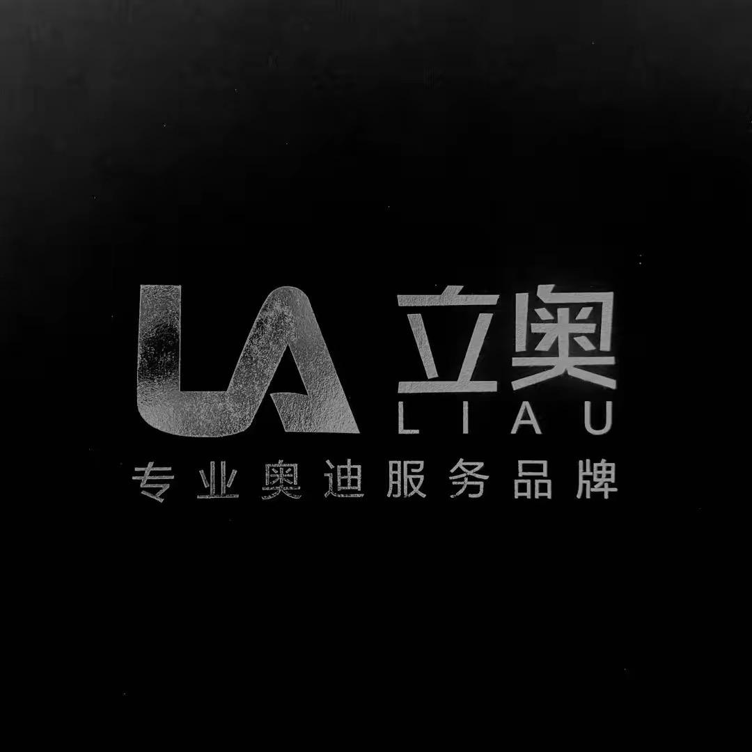 立奥汽车(菏泽旗舰店)