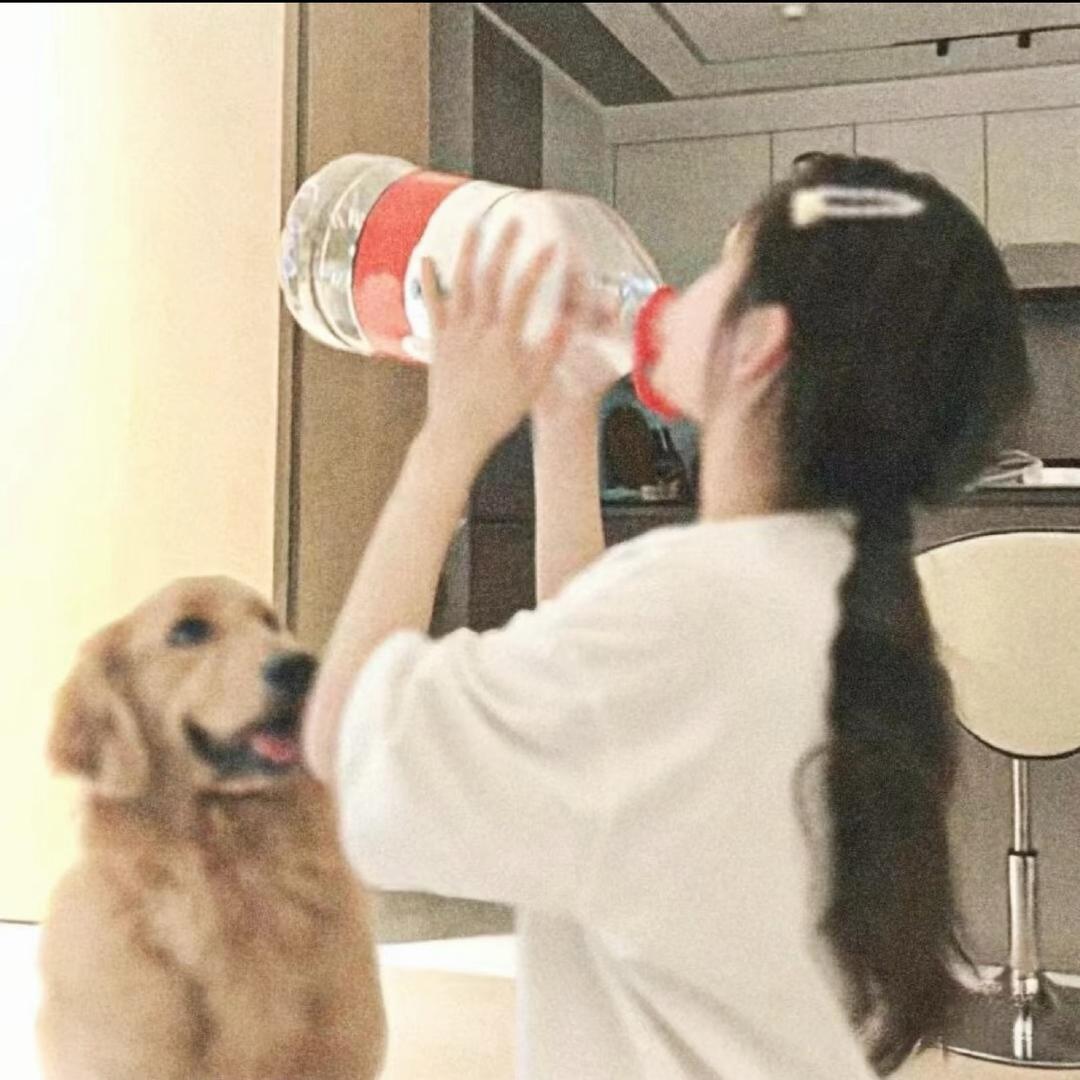 好运（努力版）