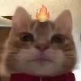 TONTON不是tongtong