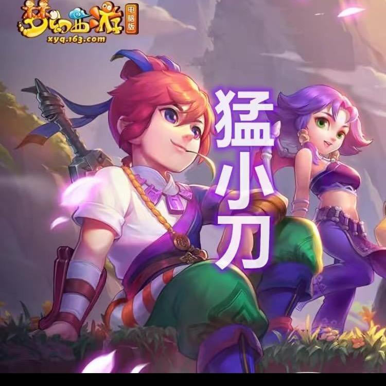 梦幻西游-猛小刀