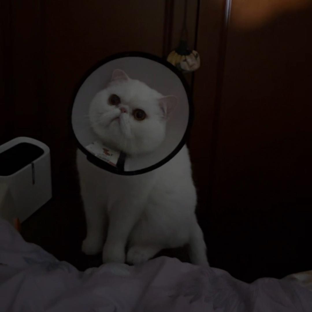 莓汁汁