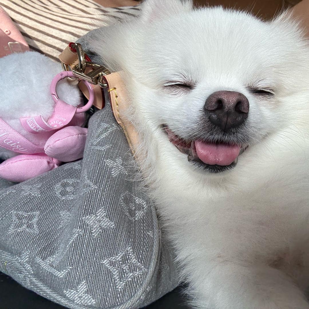 Lucy-L6
