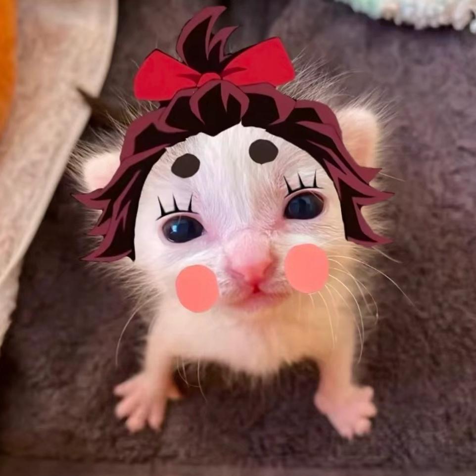 ༄༅ Despite༄༅