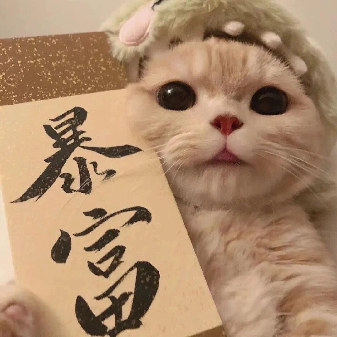 小财迷爆单啦