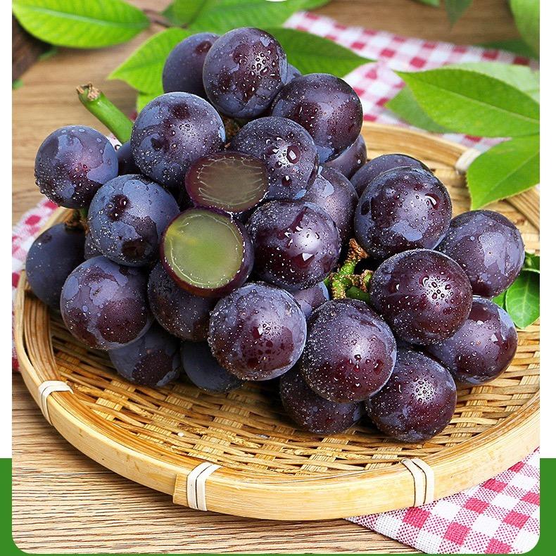 浦江巨峰葡萄🍇【怡佳优购】