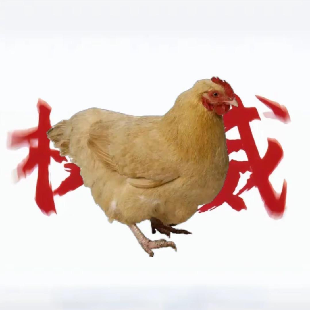 咯咯鸡