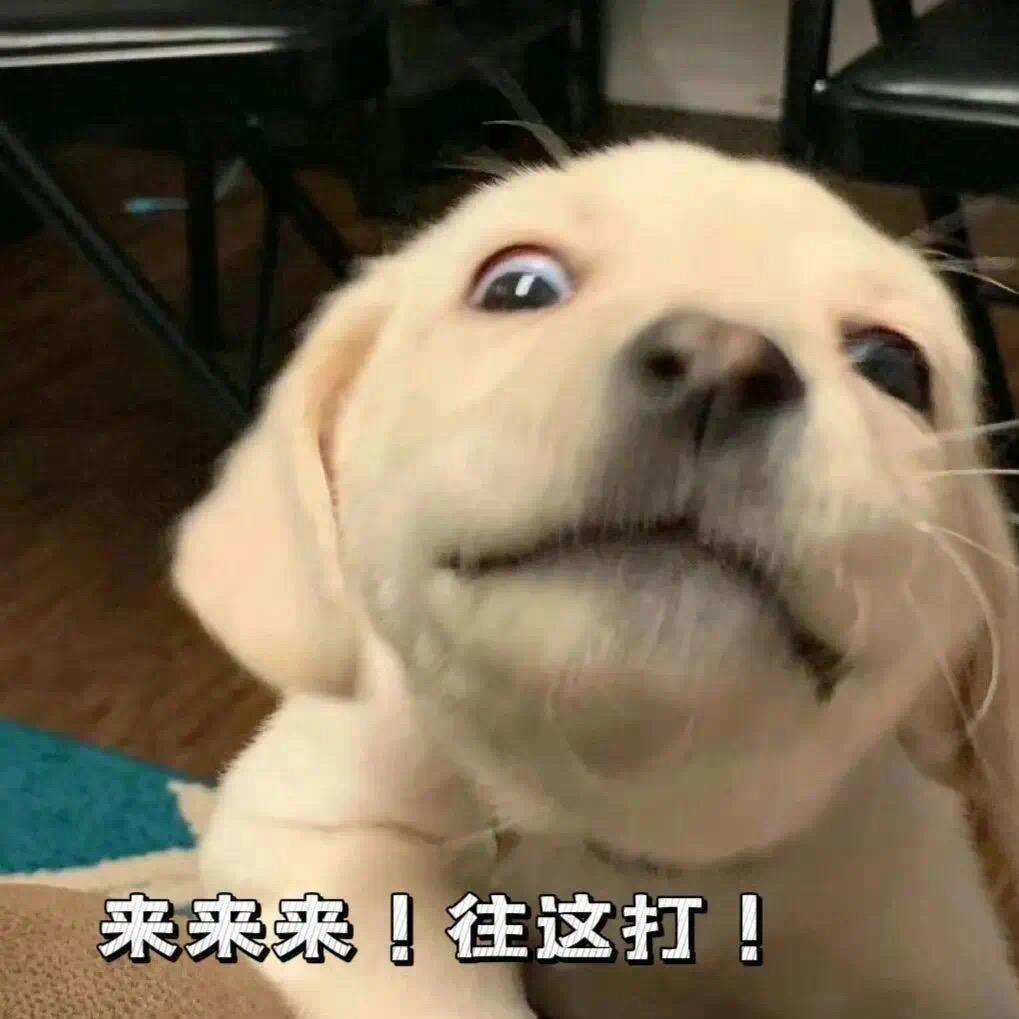 🌈小小多乐～dollar