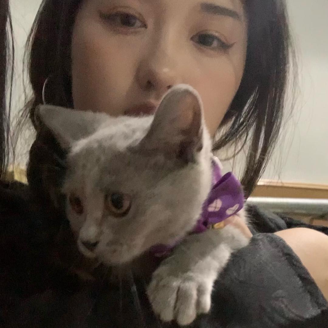 吃不到蛋挞