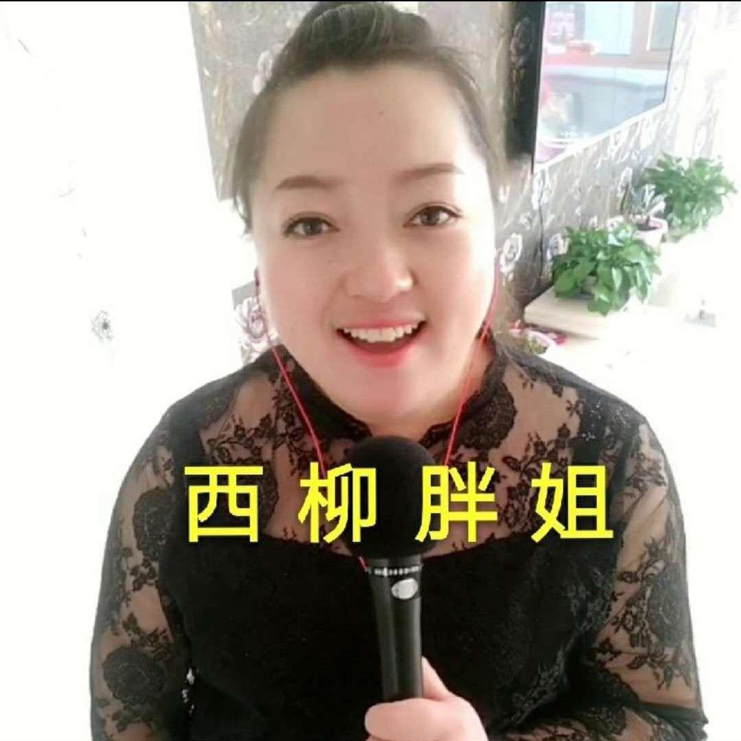 西柳胖姐直播声卡音响