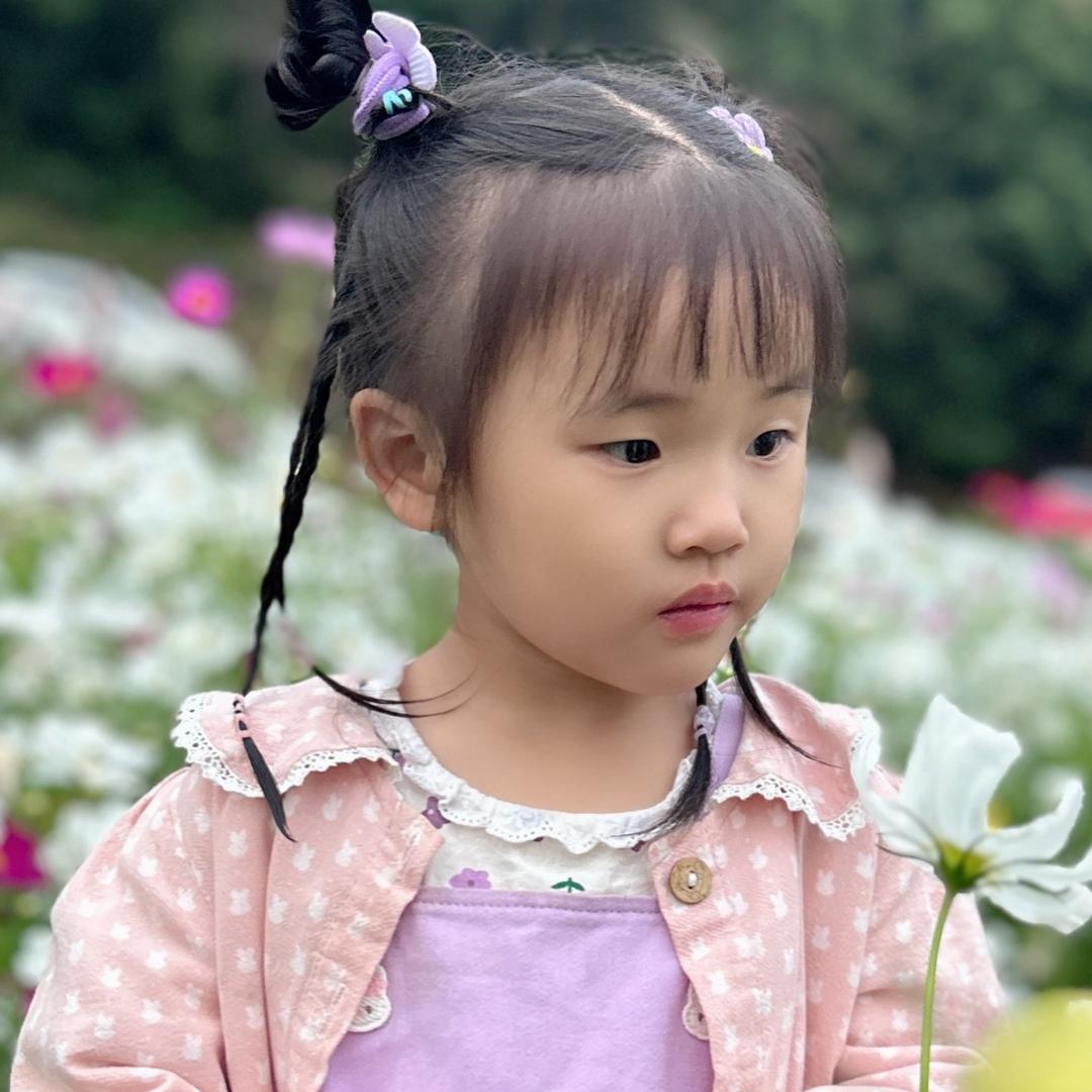 橙子手工