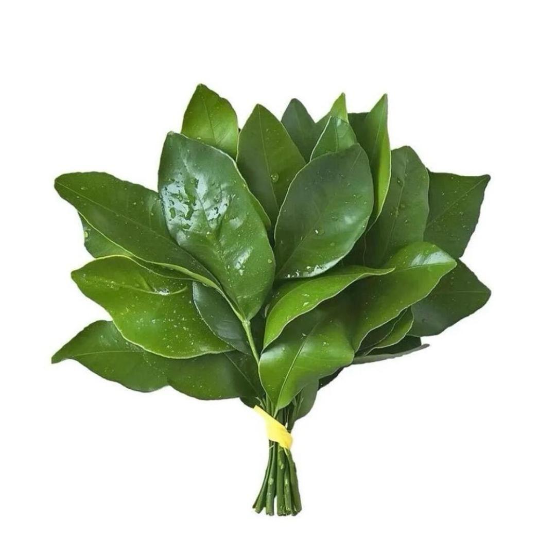 郭源潮