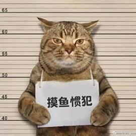 章鱼咯