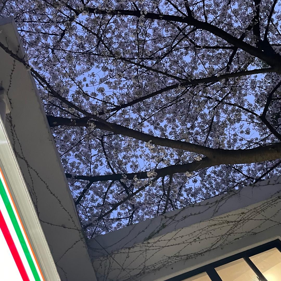 碳酸出逃