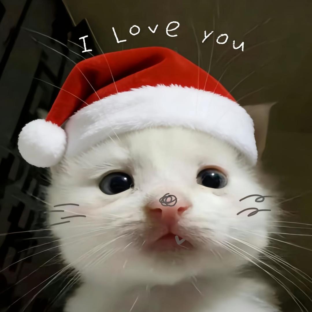 ㅤㅤㅤㅤ ㅤㅤㅤㅤ ㅤㅤㅤㅤ哆来咪发嗦