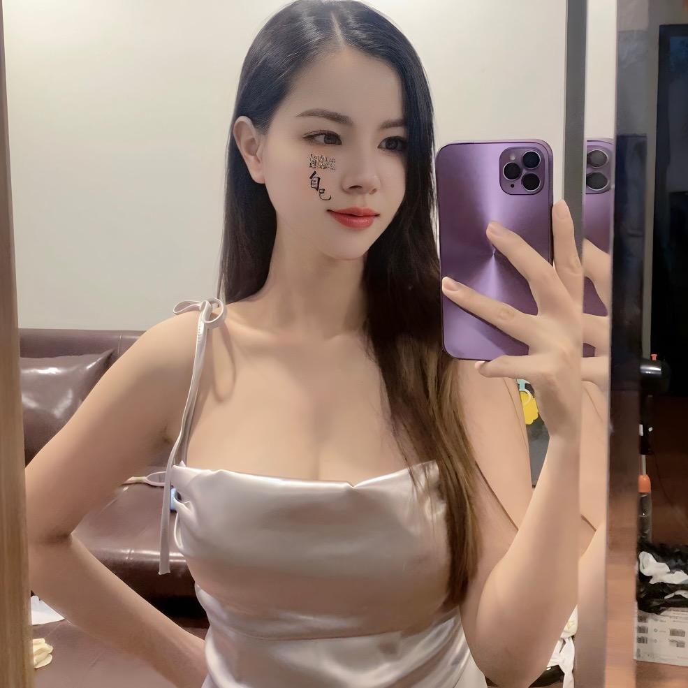 安娜中越翻译旅游🇻🇳