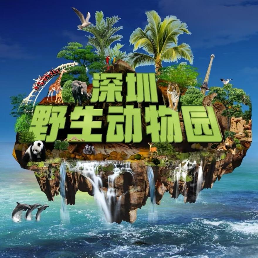 深圳Zoo臻选