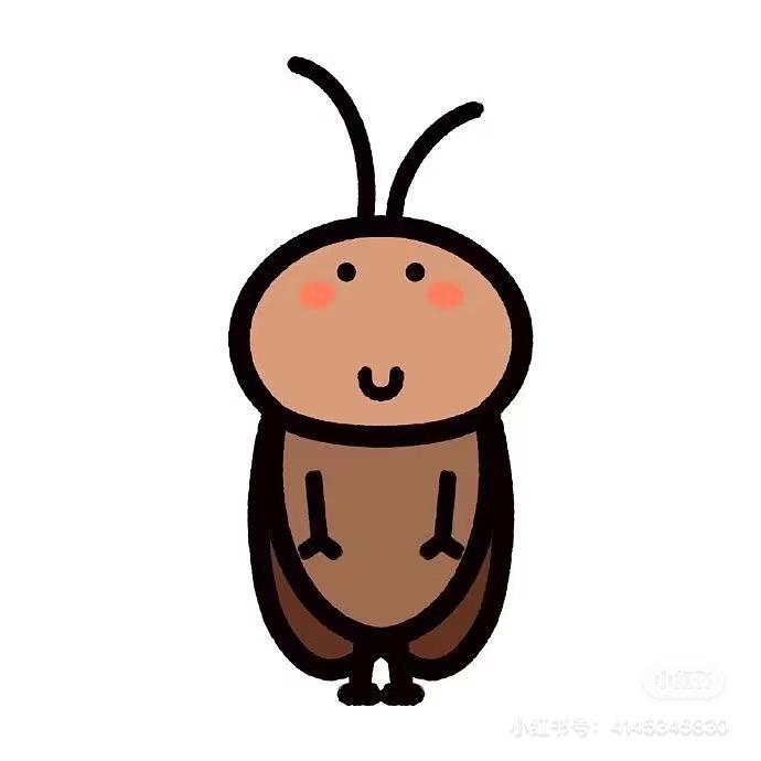 温柔大蟑螂