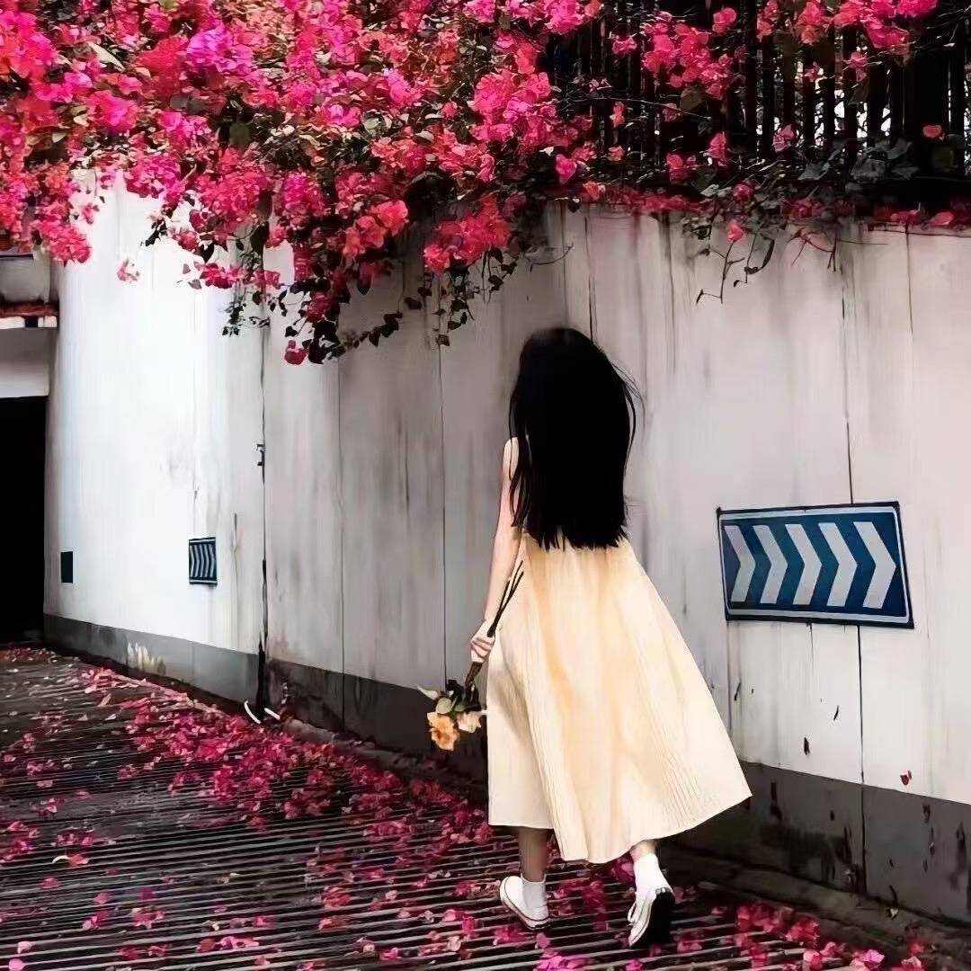蛋挞🫅